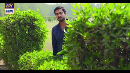 The Original Sound Track of  Anabiya - ARY Digital