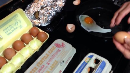 Lequel de ces oeufs provient d'une poule en santé ?
