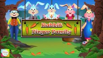 Rabbit (Bunny) Finger Family | Nursery Rhymes For Children