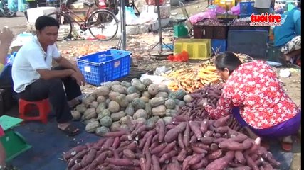 Tin nóng 24h ngày 22-2-2016- Hỗn loạn tại lễ khai ấn đền Trần