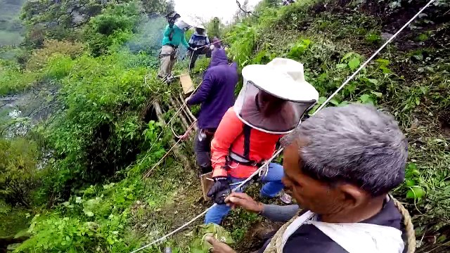 PLANETA EXTREMO 21-02-2016 Segunda Temporada Episódio 2 - Caçadores de mel - Online Completo Íntegra TV Globo HD 720p 21/02/2016