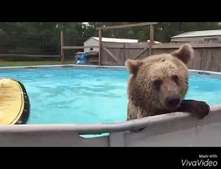 Transformers 2 (2003) Scull Makeup Transformation