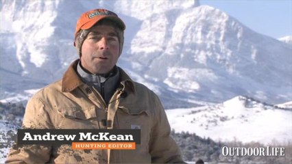 OL's 2011 Optics Test: The Results Are In!