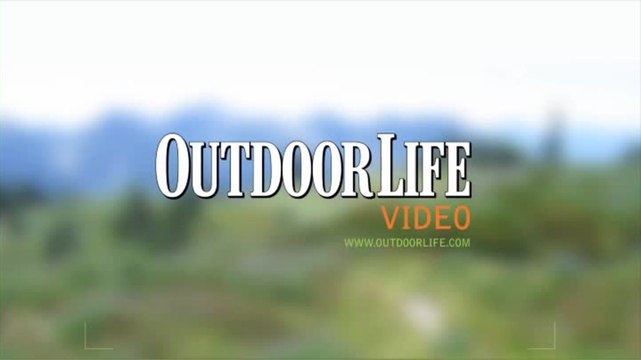 Live Hunt: Preseason Scouting Colorado Mountain Goats