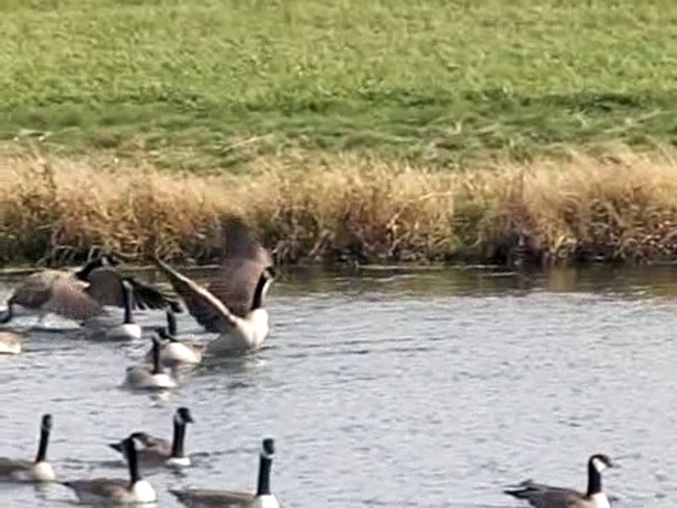 BOWN 2008: Casio EX-F1 Camera