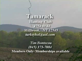 Chasing Spring: New York