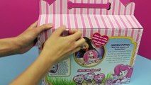 Barbie Magician Makes Puppy Surprise DisneyCarToys Stuffed Dog and Kitty Surprise Toys Magic