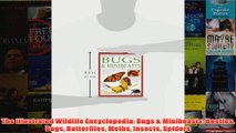 Download PDF  The Illustrated Wildlife Encyclopedia Bugs  Minibeasts Beetles Bugs Butterflies Moths FULL FREE