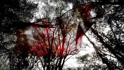 Hülya POLAT-Sen Rüzgar Ben De Yaprak