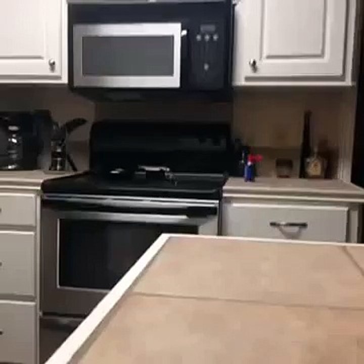 How'd a deer get in my kitchen