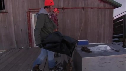 Gun It Short: Cleaning Birds