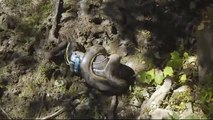 How Anaconda tries to eat man alive discovery channel