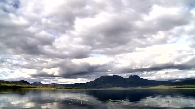 The Rack Man: Up Close with a Huge Yukon Bull