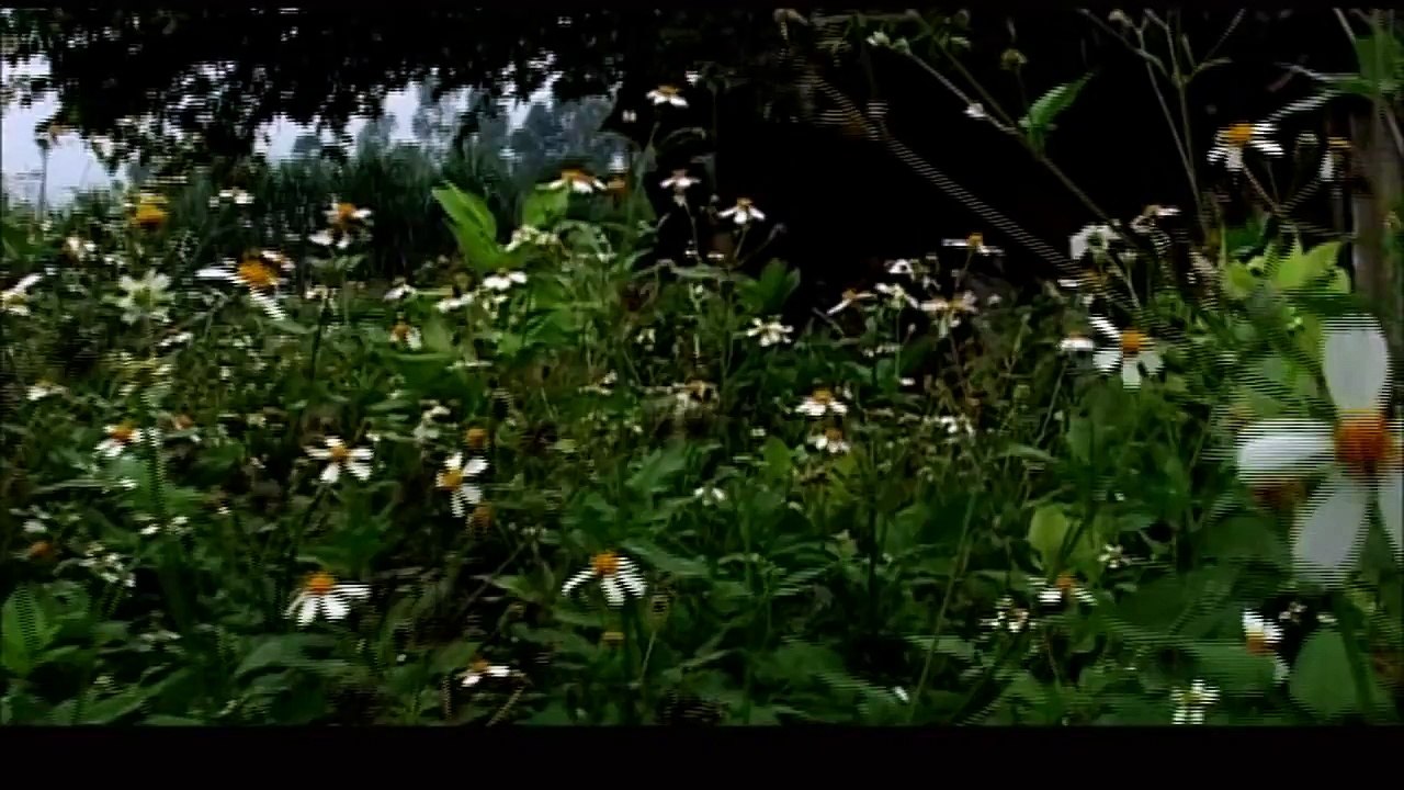 Phim Ma Kinh Dị | Quán Nhậu Thịt Người ( Phim Hay Hơn Phim Ma Thái Lan )