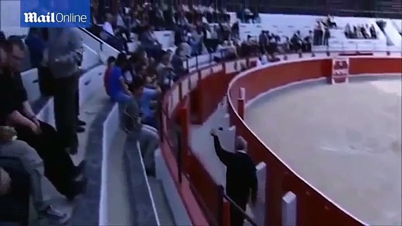 Two rams viciously attack each other during fighting contest (720p Full HD)