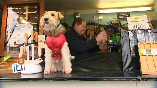 Itinéraires Bretagne : les marchés, du plus ancien au plus récent