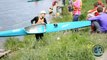Міжнародні змагання 'Дружба' з веслування на байдарках та каное