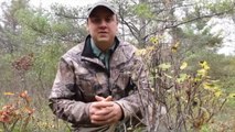 Target Big Bucks Video: Understand Food Per Acre