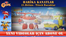 HARİKA KANATLAR 23.BÖLÜM TİTREK BACAKLAR