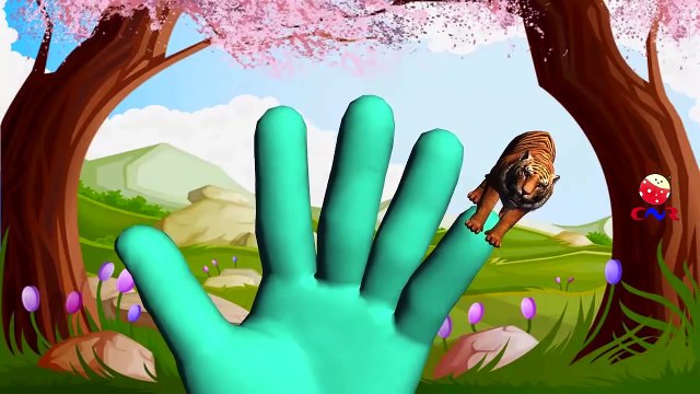 Finger Family Rhymes for Children Cheetah Lion | Tiger Cartoon Finger Family Children Nursery Rhymes