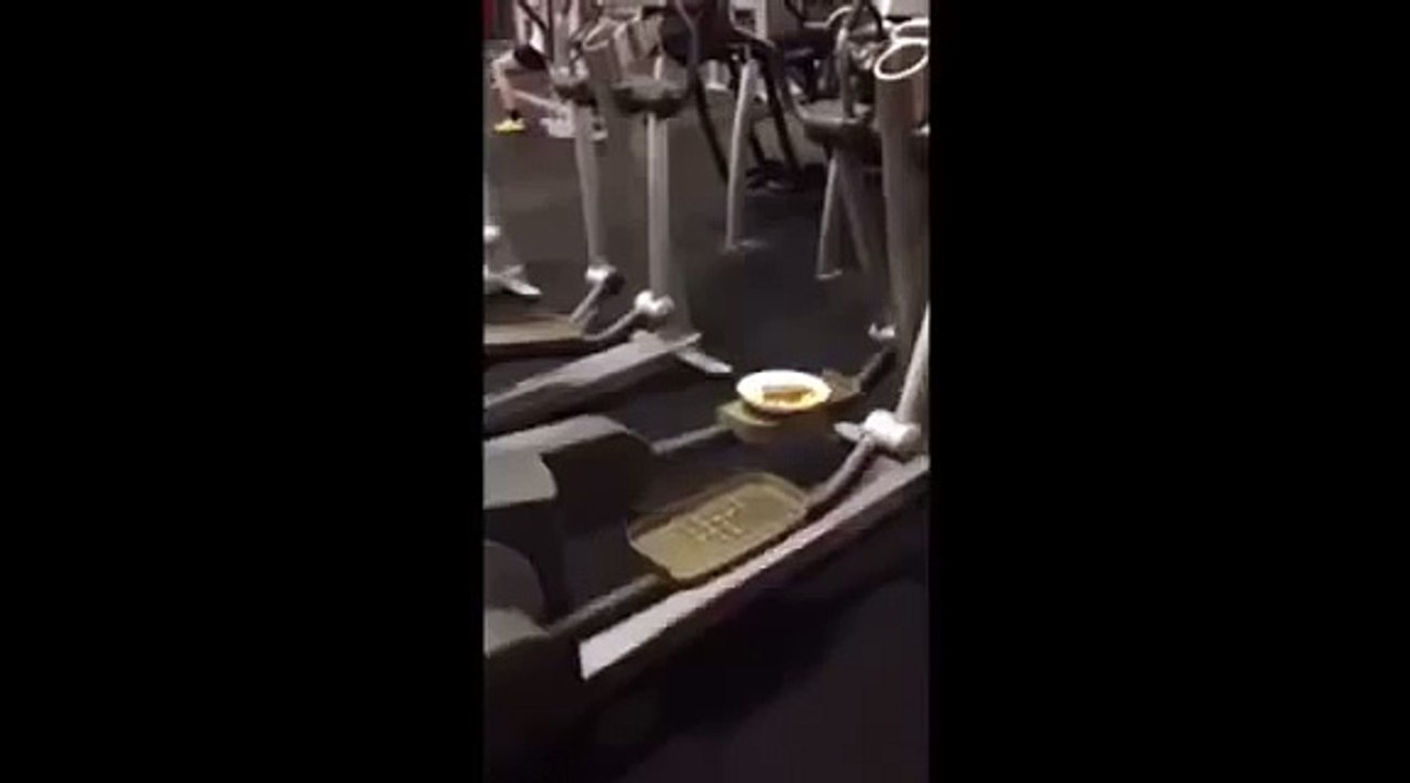 Gym Spaghetti