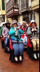 Fun Roller Coaster costume