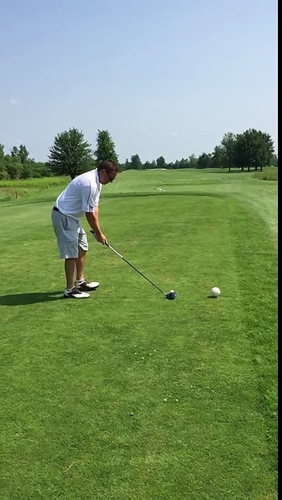 Golfer kills seagull with awful drive