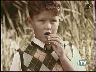 Boy vs Elephant memory test