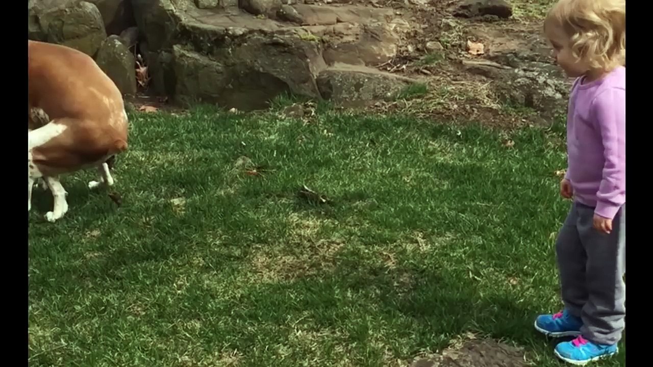 Great Job Pooping!