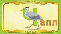 буква цапля. буква ц ц цапля. детский стишок про цаплю. буква ц цапля. азбука с цаплей.