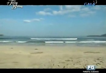 Tunay na Buhay February 24 2016