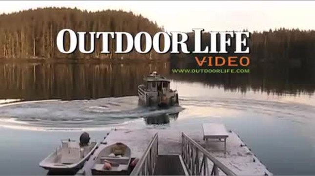 Live Hunt: Return to Afognak Island