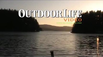 Still Hunt When the Weather Gets Nasty