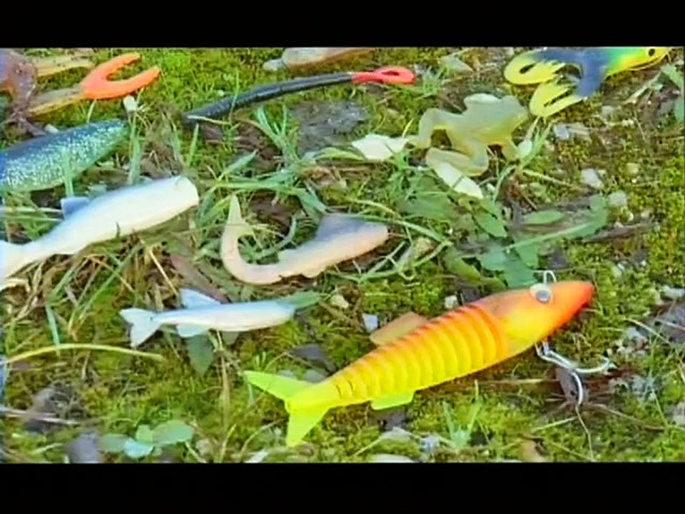 Pêche au leurre souple