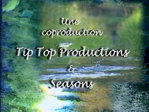 A la recherche des gros brochets - Pêche carnassier