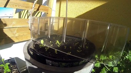 Idée de culture sur balcon 2016