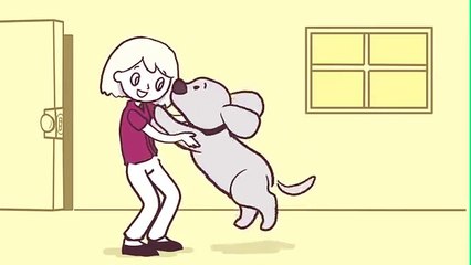 Healthy Paws Pet Insurance – Basic Overview