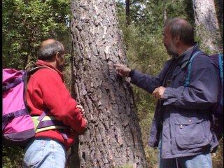 Corse : 4 randonnées - Documentaire 0