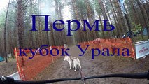 Пермь. Кубок Урала 2014 Ездовой спорт. Хаски