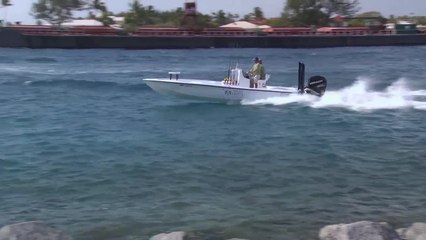 Palm Beach Great Fishing