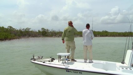 Fishing Shorelines for Troutzilla