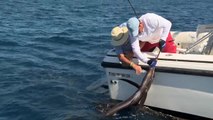 Sailfish Handling at the Boat