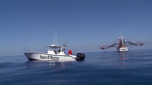 Fishing Key West Shrimp Boats