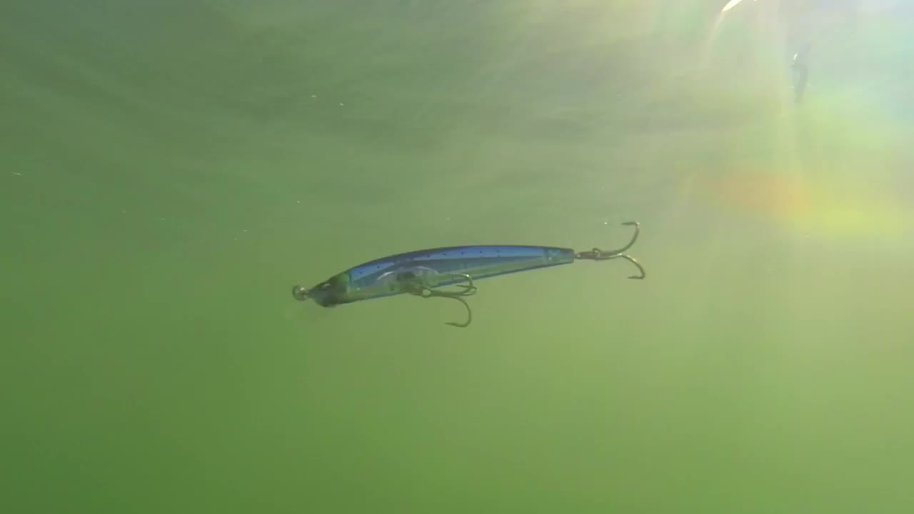 Yo-Zuri Lures - Crystal 3D Minnows - Floating