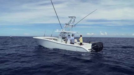 Bermuda Wahoo & Tuna - Part 1 of 3