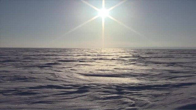 Keeping an Eye on Your Buddy