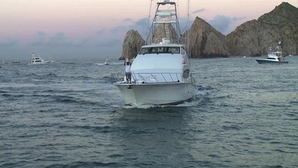 2013 Los Cabos Billfish Tournament