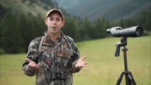 Record Quest: Elk Hunting in Wolf Country