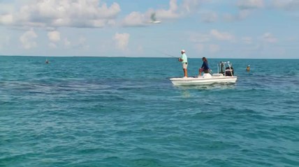 Key West Permit - Part 3 of 3
