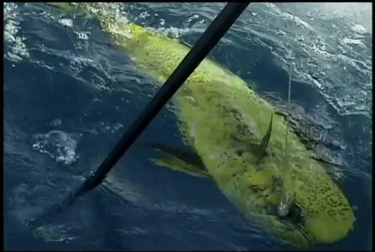 SFTV 2008 Gear Guide Gaff-H264